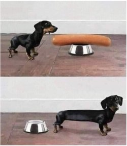 hotdog.jpg