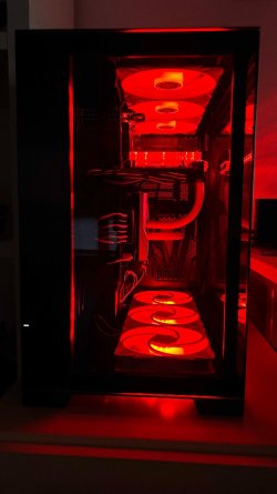 IMG_7165.jpeg