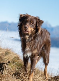 Kleinwalsertal 2025-49.jpg