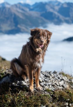 Kleinwalsertal 2025-60.jpg