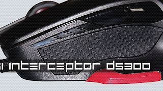 MSI Interceptor DS 300