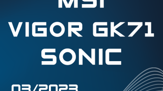 MSI VIGOR GK71 SONIC - Award big.png