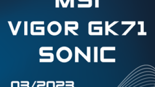 MSI VIGOR GK71 SONIC - Award small.png