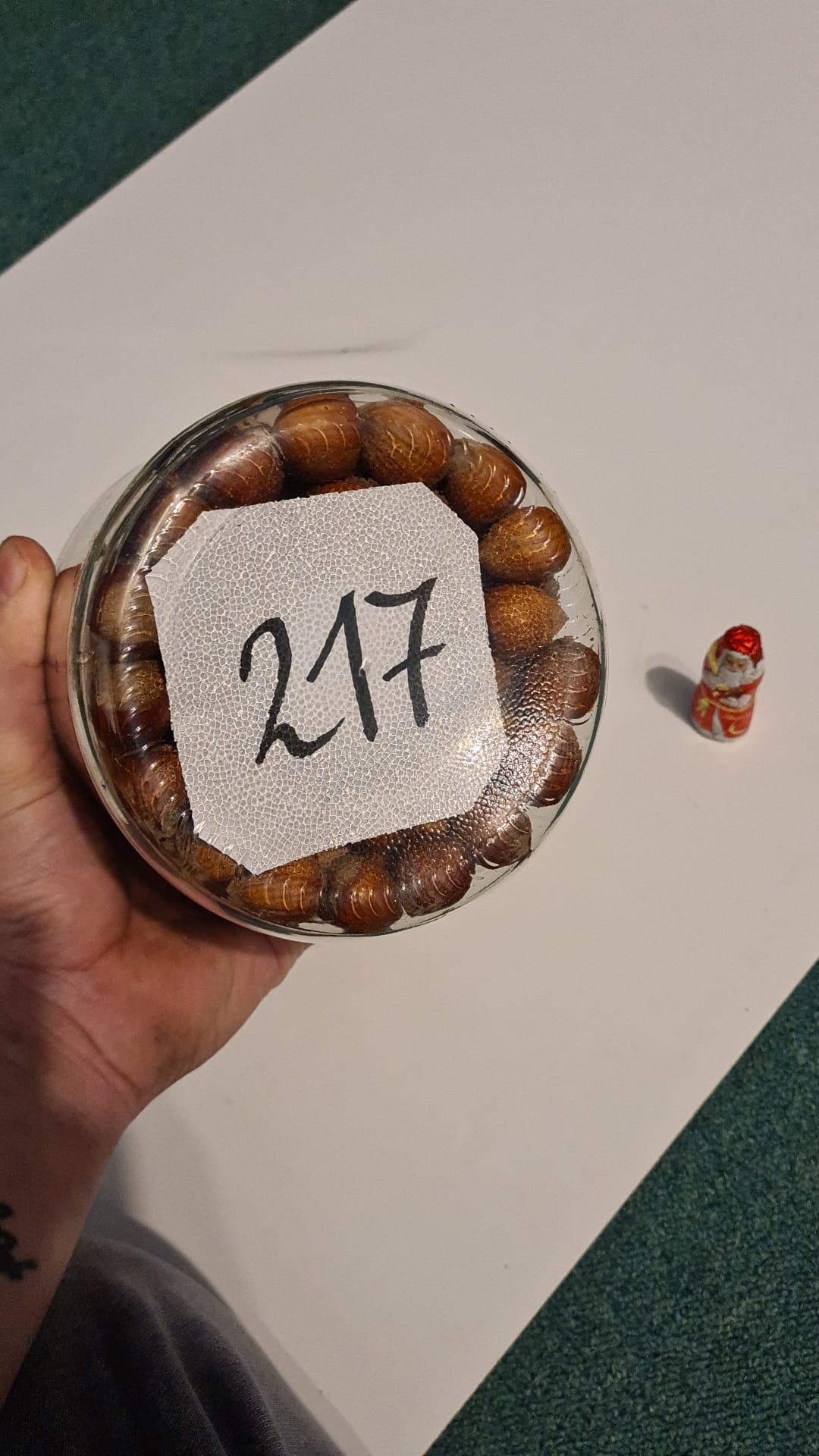 3. Advent Gewinnspiel.jpeg