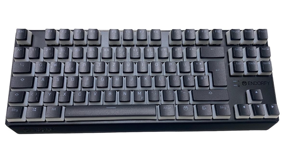 ENDORFY Thock TKL Wireless Pudding-Titelbild.jpg