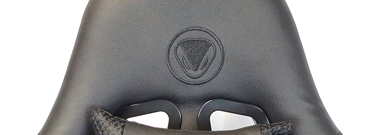 snakebyte-gamingseat_evo-titelbild_logo.png
