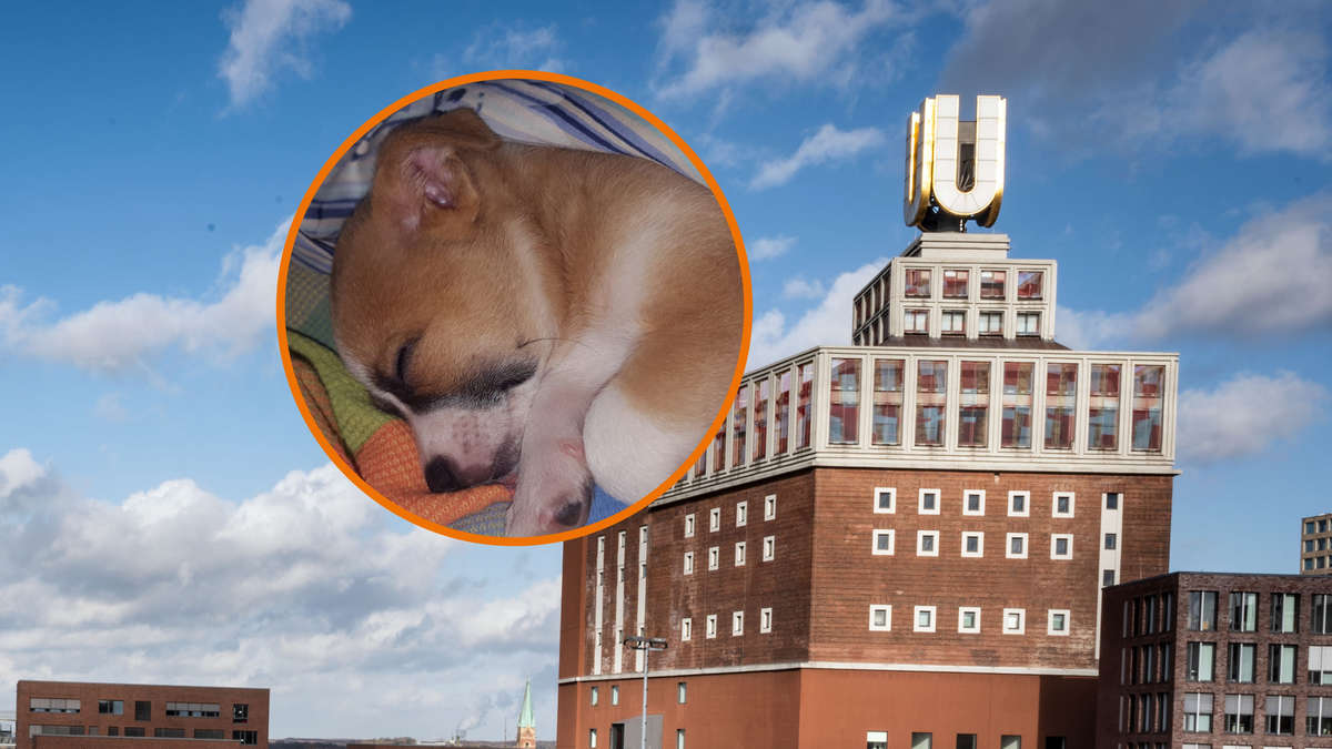 www.ruhr24.de